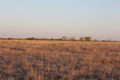 818 195 Cr-163, Winters, TX 78634 - photo 7