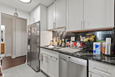 9701 N Dee Rd unit 5E, Niles, IL 60714 - photo 3