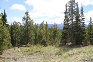 0 Goshawk Trail unit 206029, Big Sky, MT 59716 - photo 6