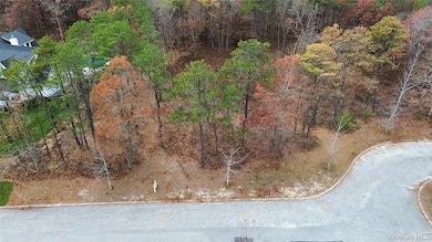 16 Sophia Ct, West Hampton, NY 11977 - photo 4