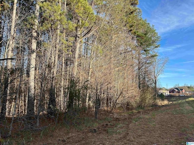 0 Highway 431 unit 21438889, Heflin, AL 36264 - photo 5