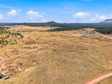 Lot 25 the Ranch at Alpine -- unit 25, Alpine, AZ 85920 - photo 4