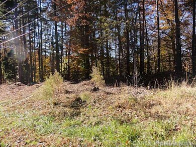 Exterior Back - Laurel Cove