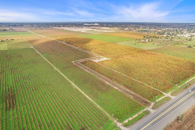 481 W Highway 12, Lodi, CA 95242 - photo 6