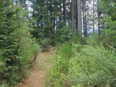 00 Timber Dr, Dunsmuir, CA 96025 - photo 2