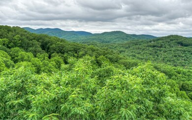 0 Bushy Head Rd unit 303293, Cherry Log, GA 30522 - photo 3