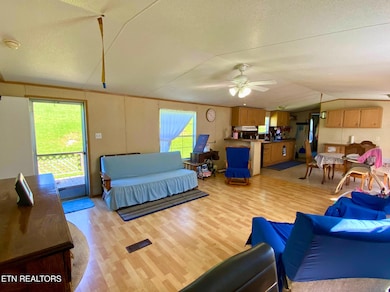 215 Central Ave, Lancing, TN 37770 - photo 4