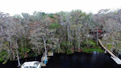 35 Egret St, Crawfordville, FL 32327 - photo 4