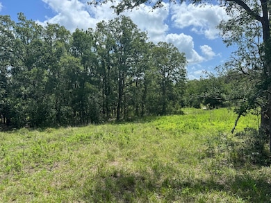 View of tree filled area