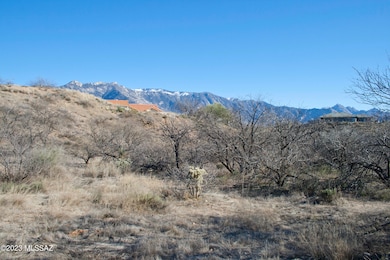 16642 N Windmill Place unit 9, Tucson, AZ 85739 - photo 7
