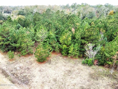 xxx Freeman Rd, Bristol, FL 32321 - photo 5