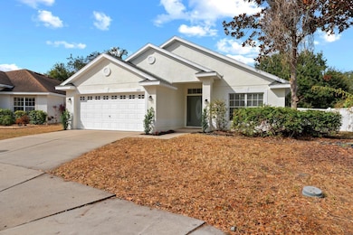 11112 Goldenrod Fern Dr, Riverview, FL 33569 - photo 3