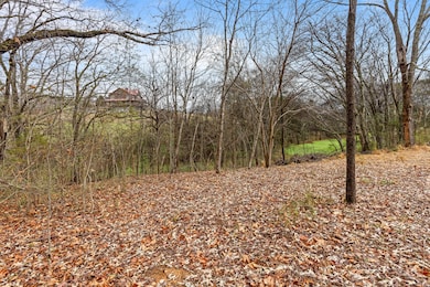 0 Scenic Hollow Dr, Dunlap, TN 37327 - photo 6