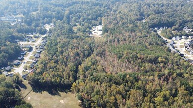 322 Old Acworth Rd, Dallas, GA 30132 - photo 5