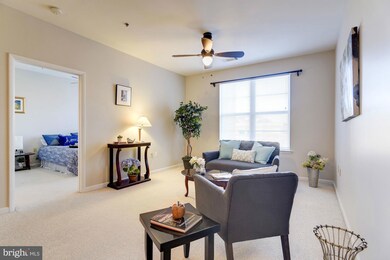 Silverton Condominiums, Silver Spring, MD 20910 - photo 6