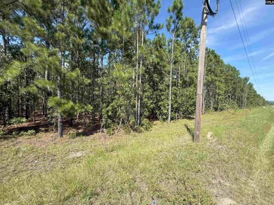 KF 5 State Road S-28-354 unit KF 5, Kershaw, SC 29067 - photo 2