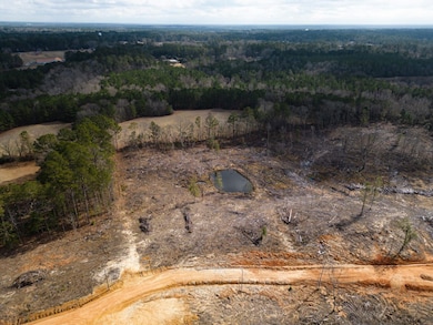 Forest Glen Dr, Laurel, MS 39443 - photo 6