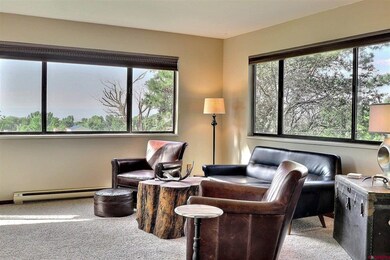 16794 Primrose Ln, Cedaredge, CO 81413 - photo 4