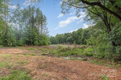 0000 Stony Gap Rd, Albemarle, NC 28001 - photo 3