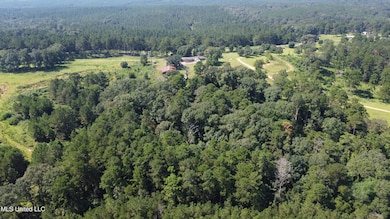 997 Morgantown Rd, Foxworth, MS 39483 - photo 6