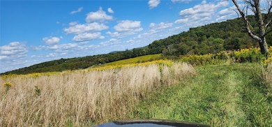 212-A Hill Rd, Danby, NY 14001 - photo 3