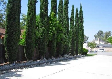 Detail of the driveway.