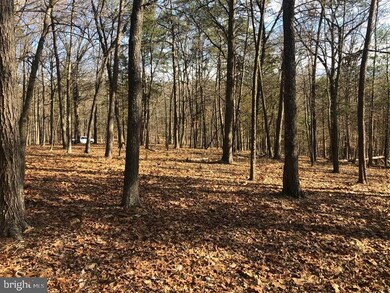 28 Robin Wood Way, Gore, WV 26704 - photo 4