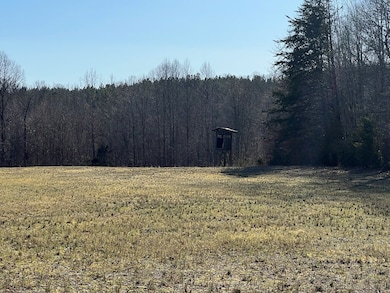 202 Ac. Chestnut Rd, Nathalie, VA 24577 - photo 5