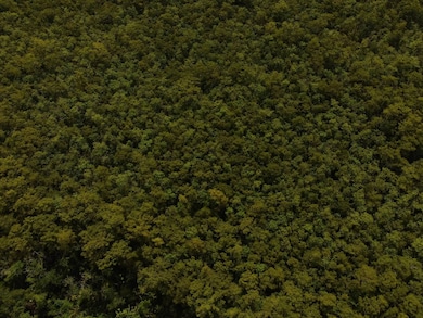 TBD Gunboat Landing Rd, Maurepas, LA 70449 - photo 5