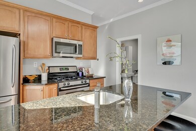 291 Cardinal Medeiros Ave unit 293-3, Cambridge, MA 02141 - photo 4