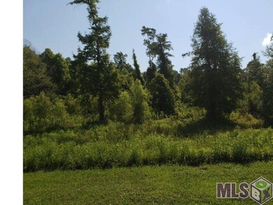Perfect place to build your dream home!