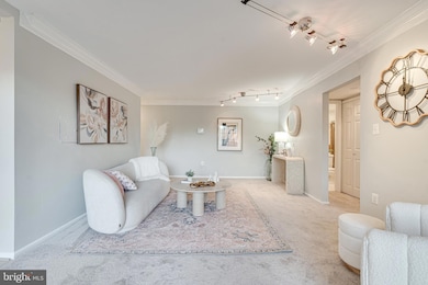 1923 Wilson Ln unit 202, McLean, VA 22102 - photo 7