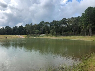 601 Water Oak Dr, Lafayette, MS 38655 - photo 3