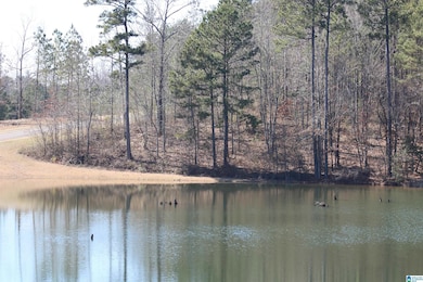 51 Bells Ln unit 51, Vincent, AL 35178 - photo 3