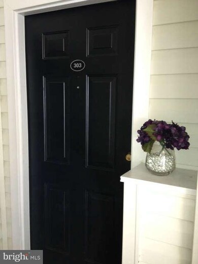 42470 Pennyroyal Square unit 303, Ashburn, VA 20148 - photo 4