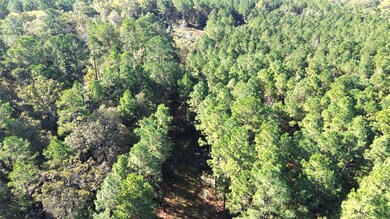 TBD Cr 2265, Grapeland, TX 75844 - photo 4