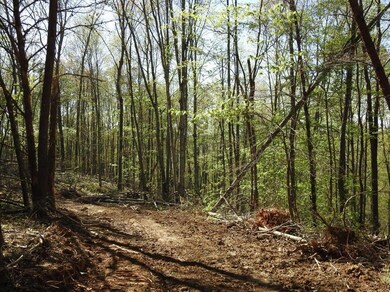 821 Ben Baker Rd, Somerset, KY 42501 - photo 7