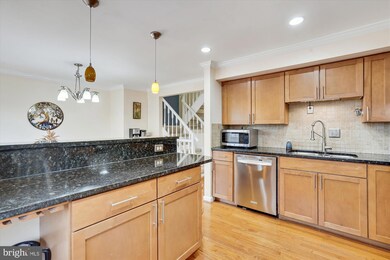 6828 Montivideo Square Ct, Falls Church, VA 22043 - photo 4