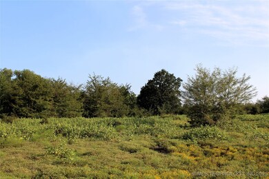 0 Highway 70 E, Bennington, OK 74723 - photo 3