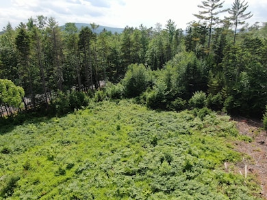 DJI_0240