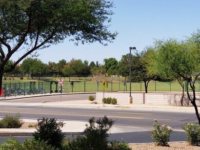 Nielson Park 2