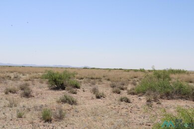 0 Harrison Rd SE unit 20232297, Deming, NM 88030 - photo 6