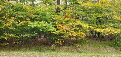 0 Waterfront Dr, Coolbaugh Township, PA 18466 - photo 5