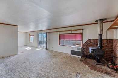 3-web-or-mls-423-pine-tree-dr