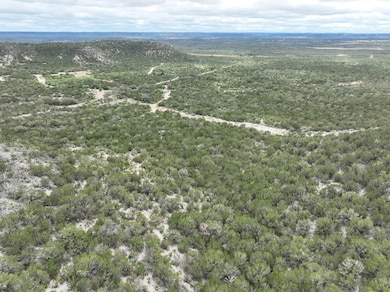 700 S US Highway 377 Hwy, Junction, TX 76849 - photo 7