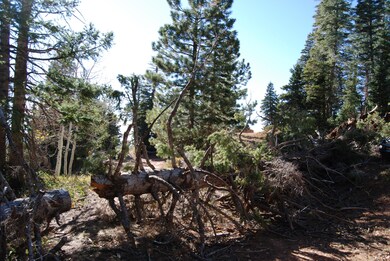 130 S Solitude Trail, Duck Creek Village, UT 84762 - photo 6