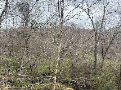 SR166 Thompson 1 Rd, New Salem, PA 15468 - photo 3