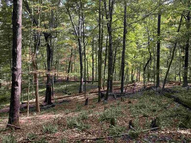 516 Swartekill Rd, New Paltz, NY 12561 - photo 5