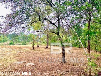 0 W 7th St unit 388473, Bay Minette, AL 36507 - photo 4