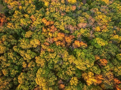 2990 170th St, Valley Falls, KS 66088 - photo 6